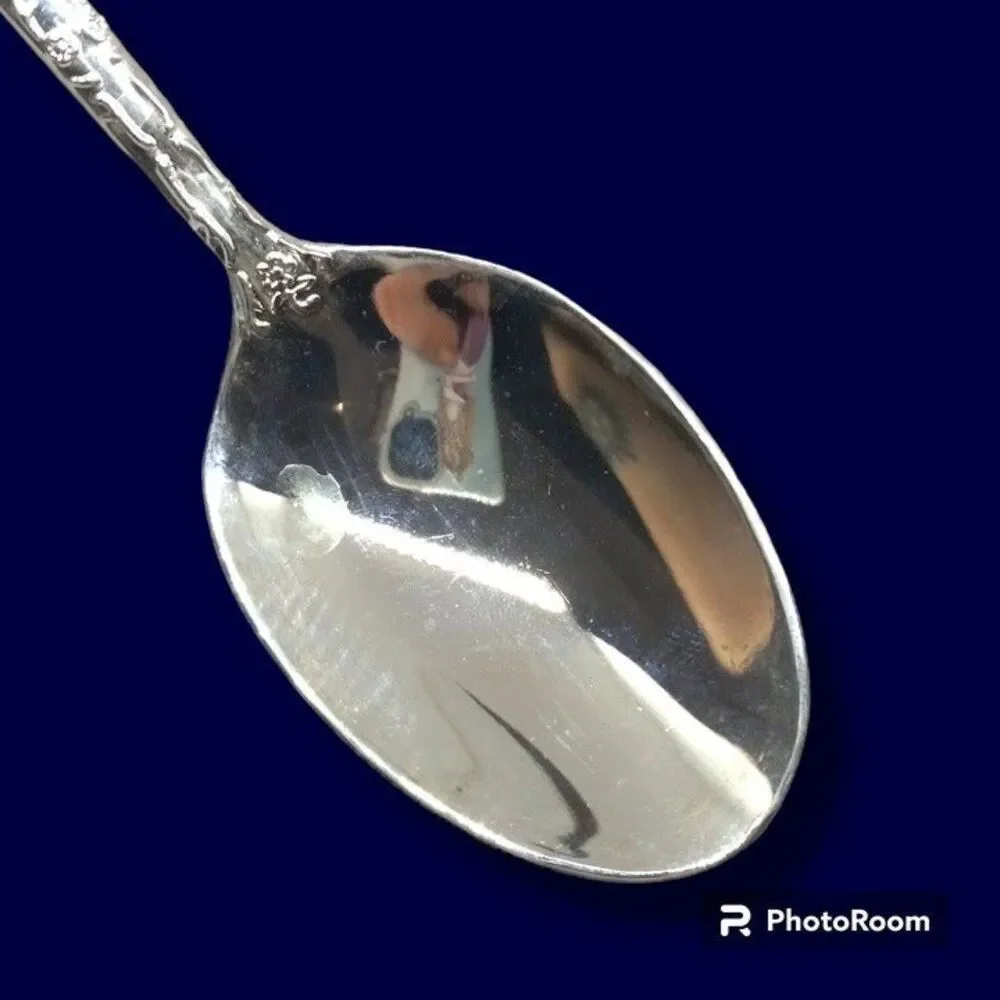 International Silver-WM Rogers & Son Enchanted Place Oval Soup Spoon-SilverPlate